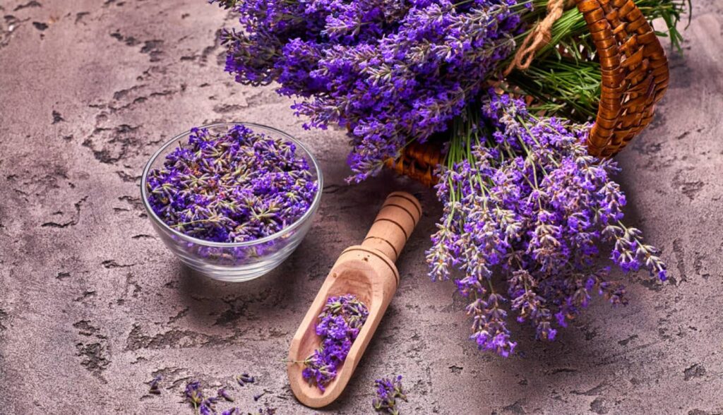 lavanda u kozmetici