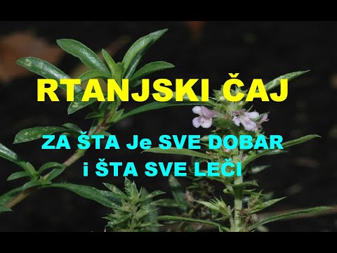 RTANJSKI ČAJ - ZA ŠTA Je SVE DOBAR i ŠTA SVE LEČI
