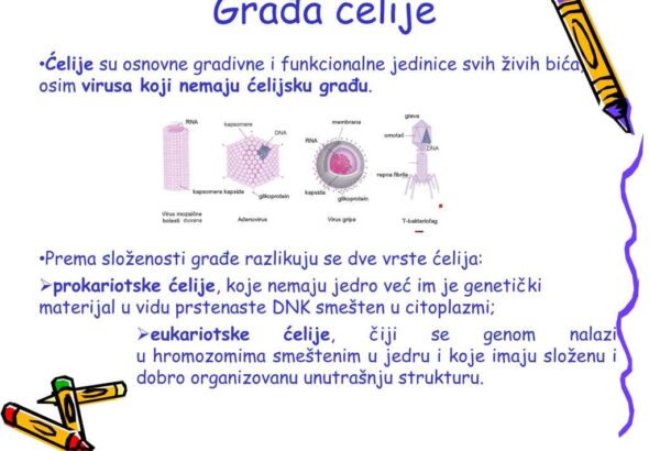Celija gradja celije
