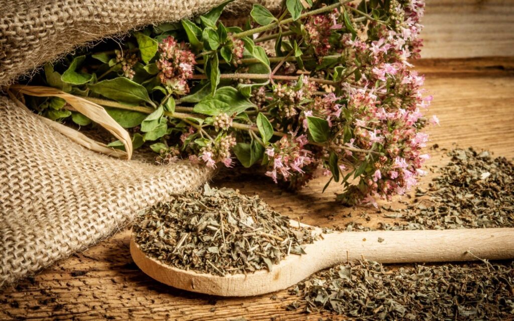 zasto je vranilova trava lekovita