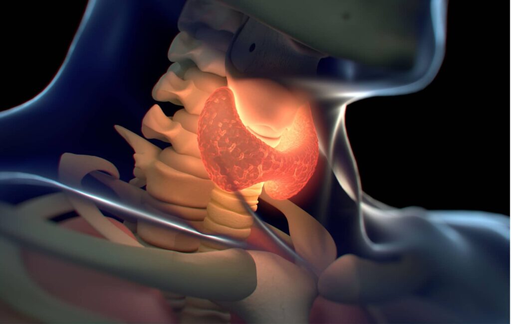 Stitna zlezda prirodno lecenje