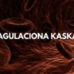 Hemostaza i koagulacija krvi