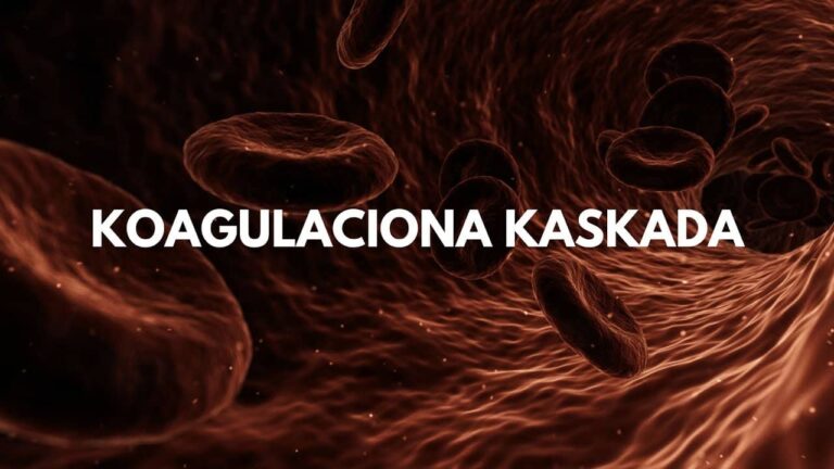 Hemostaza i koagulacija krvi