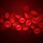 krvotok i kolicina krvi u organizmu