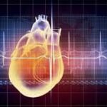 Bioelektricne pojave u srcu EKG elektrokardiogram