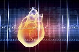 Bioelektricne pojave u srcu EKG elektrokardiogram