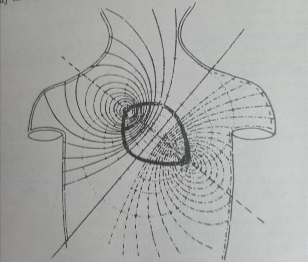 kako funkcionise provodni sistem srca